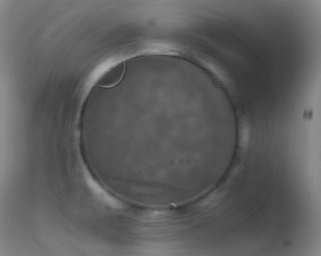 X0000113251471200909171615