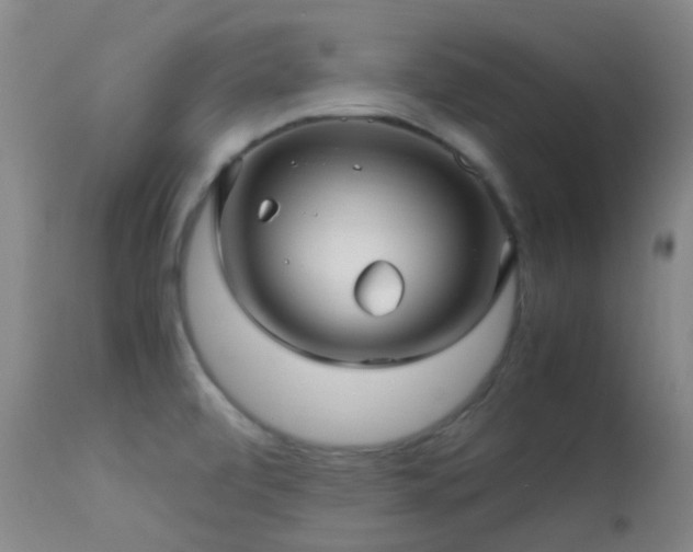 X0000113251472200909171615