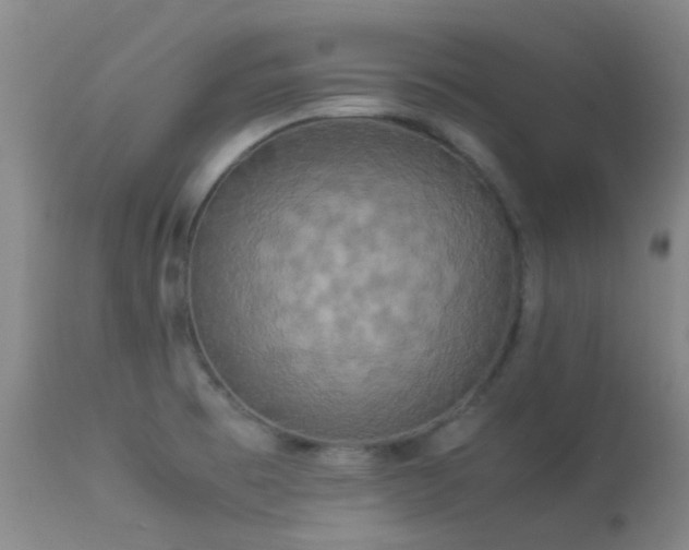 X0000113251473200909171615
