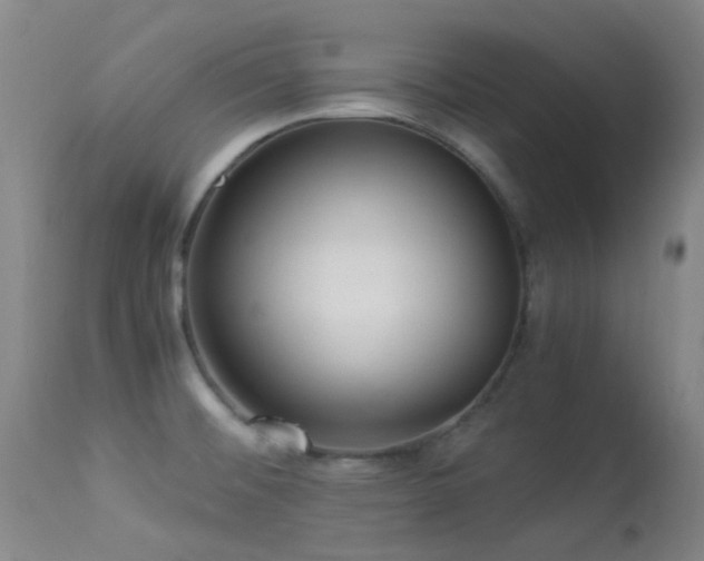 X0000113251476200909171614