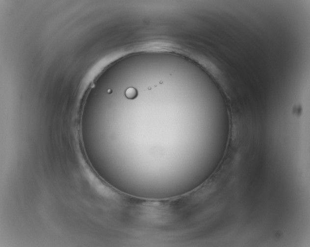 X0000113251478200909171614