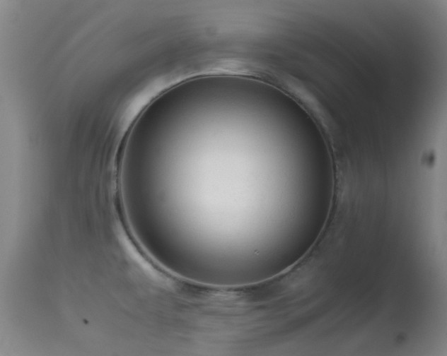 X0000113251479200909171614