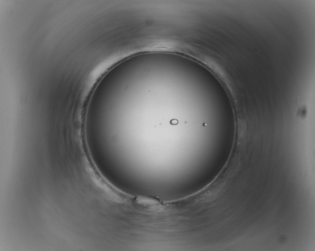 X0000113251480200909171614