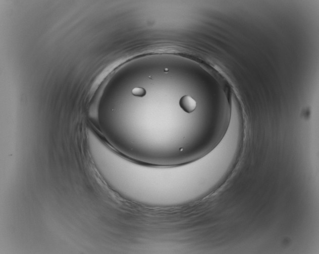 X0000113251481200909171614