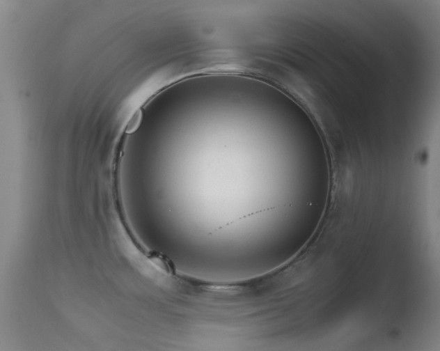 X0000113251483200909171614