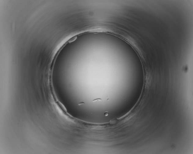 X0000113251484200909171614