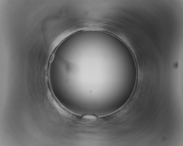 X0000113251485200909171614