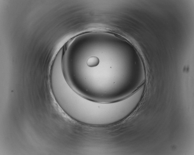 X0000113251488200909171614