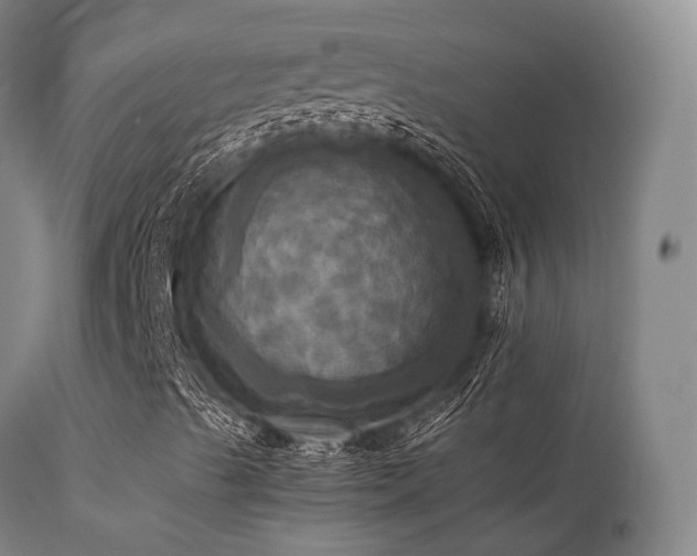X0000113251489200909171613