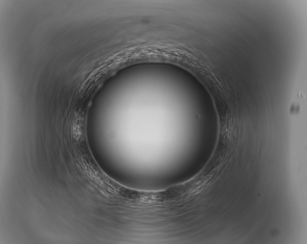 X0000113251490200909171613
