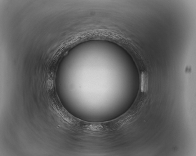 X0000113251491200909171614