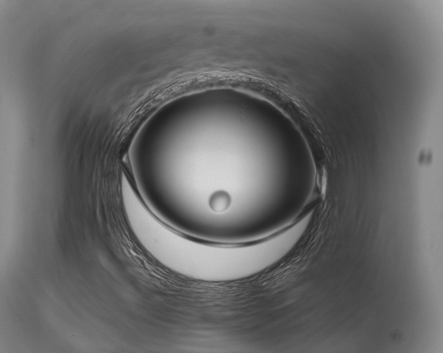 X0000113251492200909171614