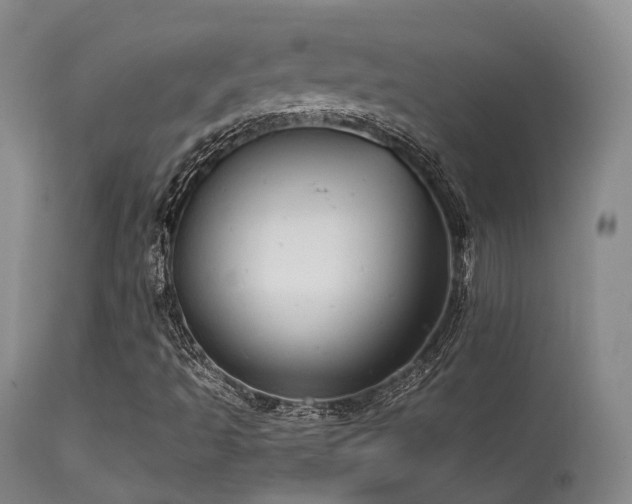 X0000113251493200909171614