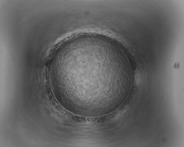 X0000113251494200909171614