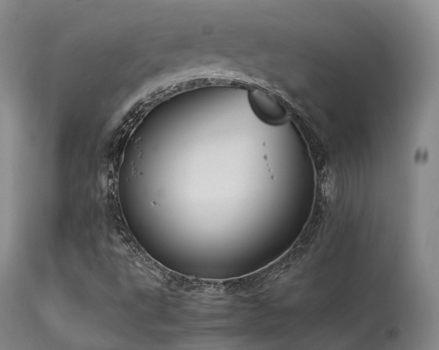 X0000113251495200909171614