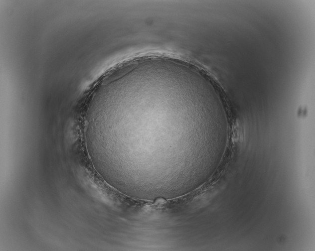 X0000113251496200909171614