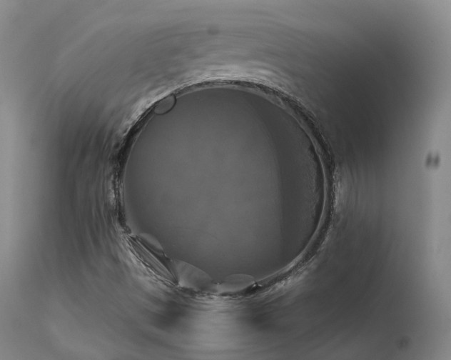 X0000113251497200909171614