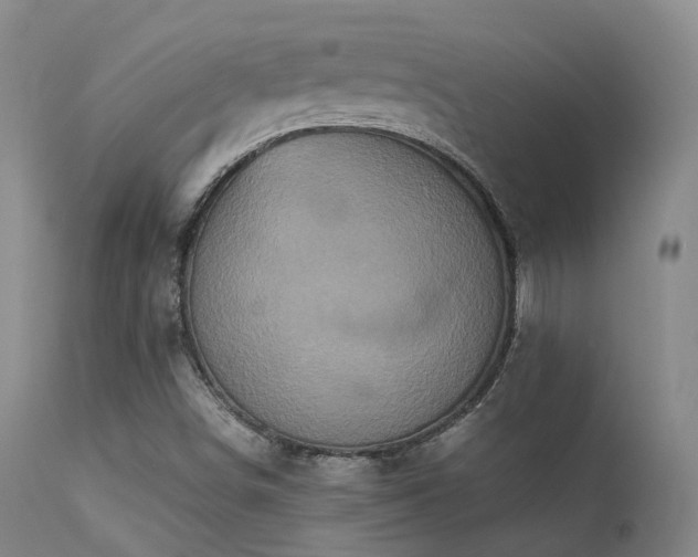 X0000113251498200909171614