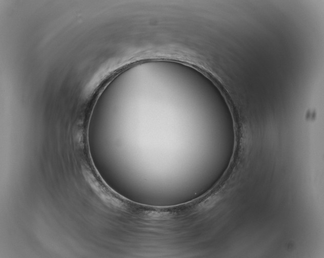 X0000113251499200909171614
