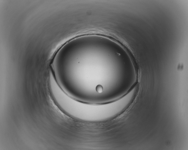 X0000113251500200909171614