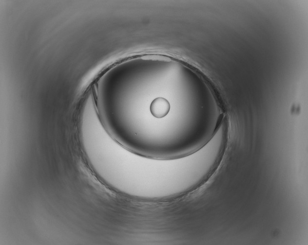 X0000113251502200909171614