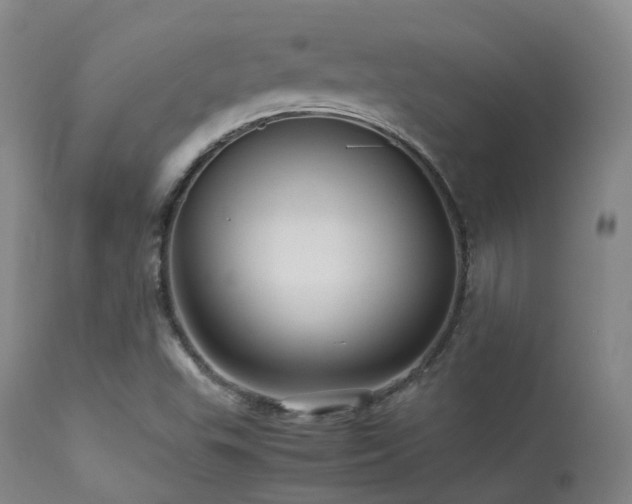 X0000113251503200909171614