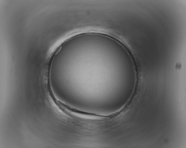 X0000113251504200909171614