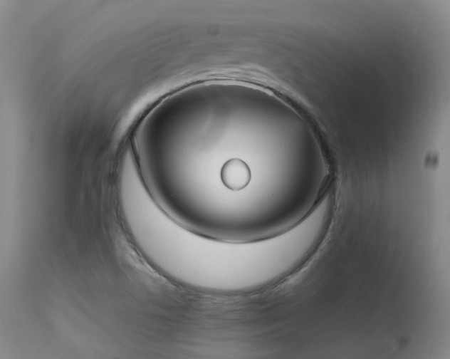 X0000113251506200909171614