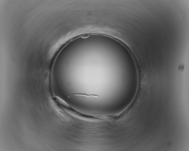 X0000113251507200909171614
