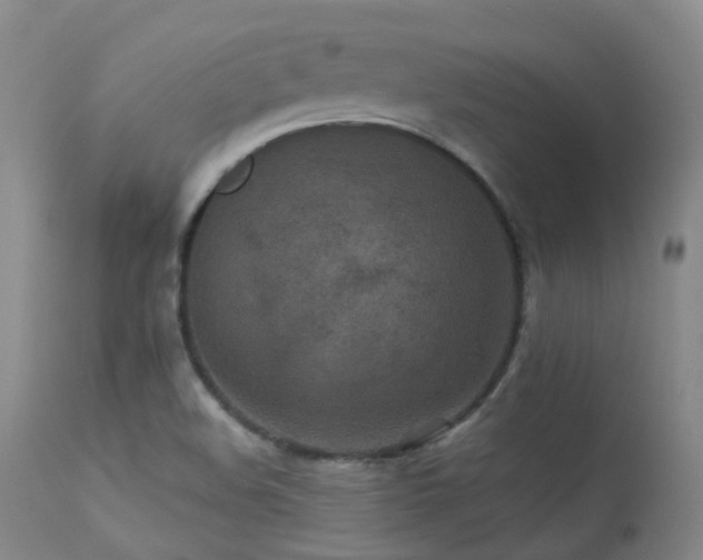 X0000113251508200909171614