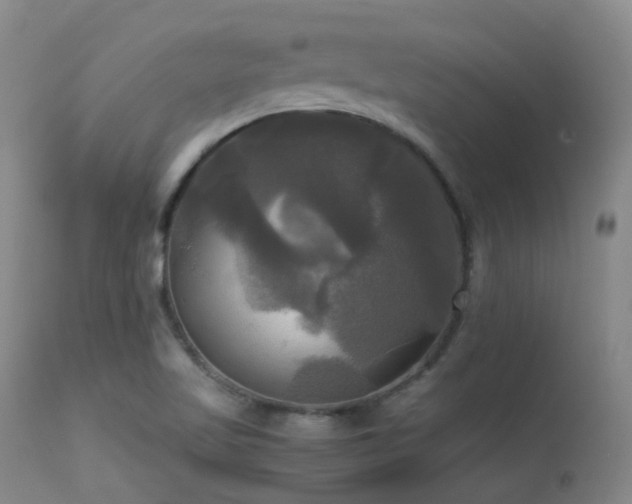 X0000113251509200909171614