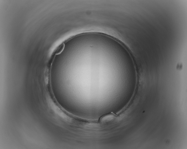 X0000113251510200909171614
