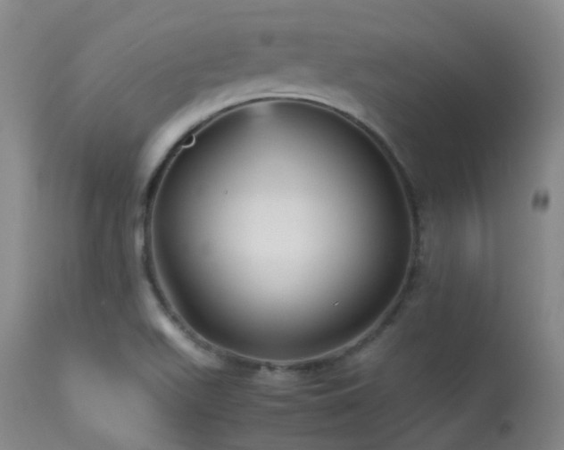 X0000113251511200909171614