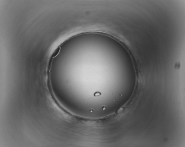 X0000113251512200909171614