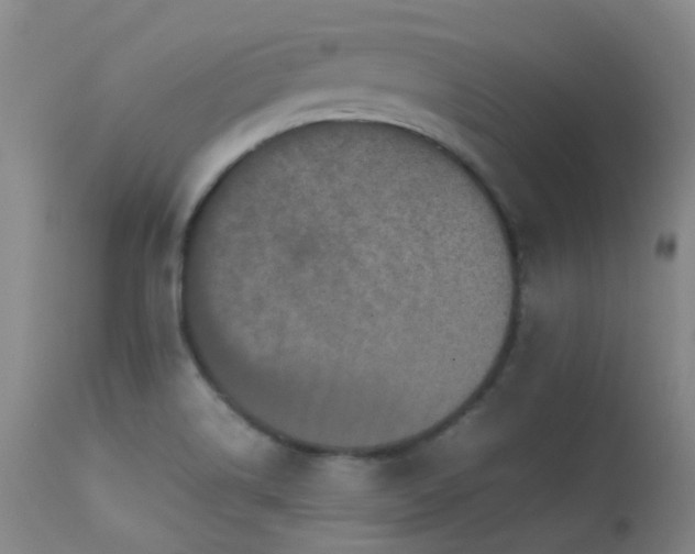 X0000113251514200909171614