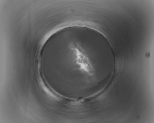 X0000113251515200909171614