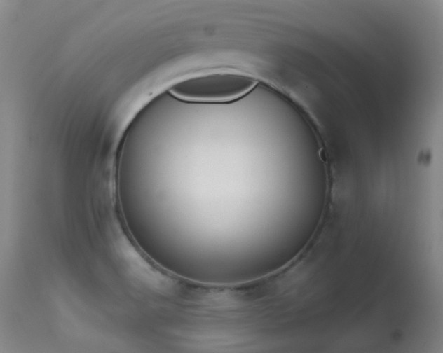 X0000113251516200909171614