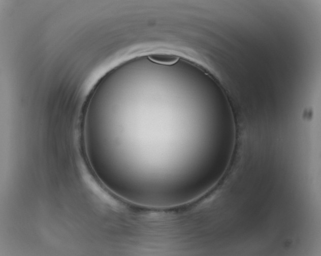 X0000113251518200909171614