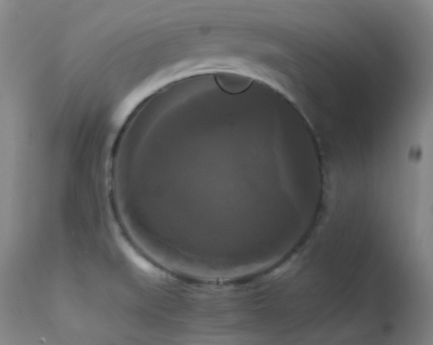 X0000113251519200909171614
