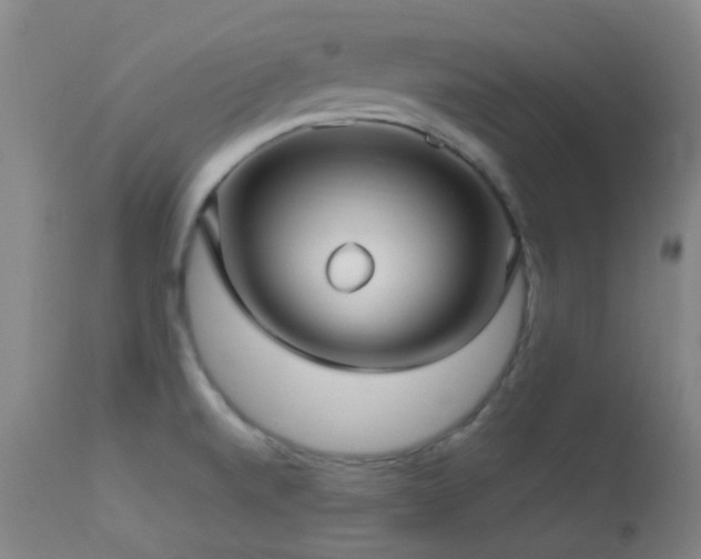 X0000113251520200909171614