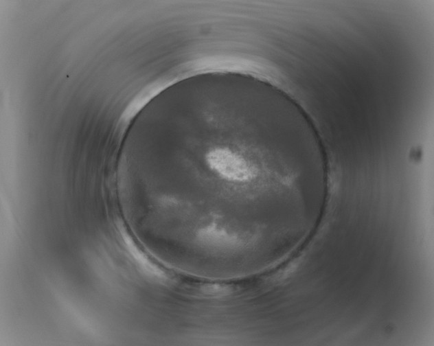 X0000113251521200909171614