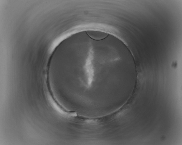 X0000113251523200909171614