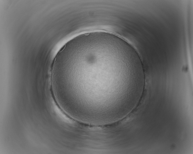 X0000113251524200909171614