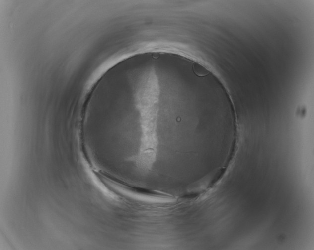 X0000113251525200909171614