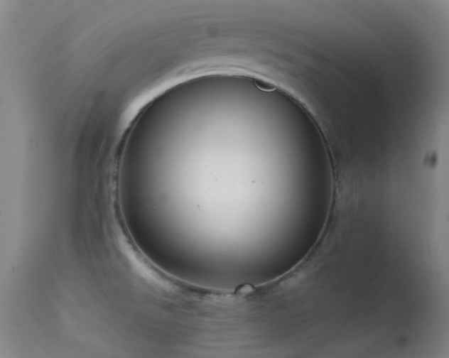 X0000113251526200909171614