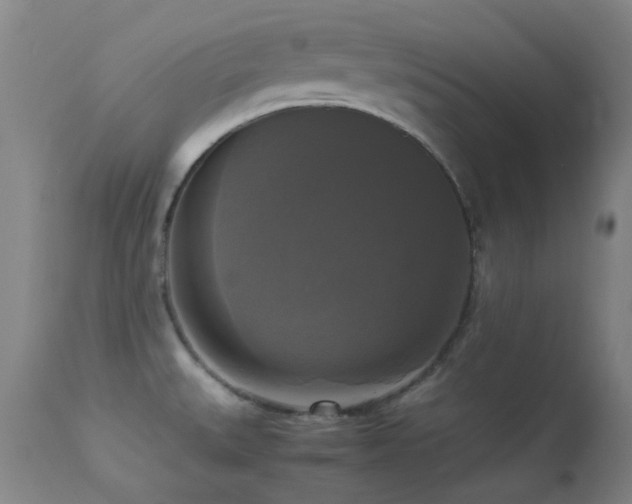 X0000113251527200909171614