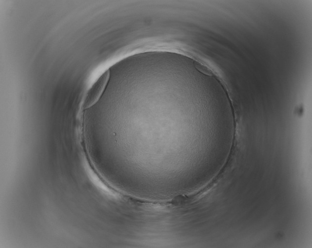 X0000113251528200909171614