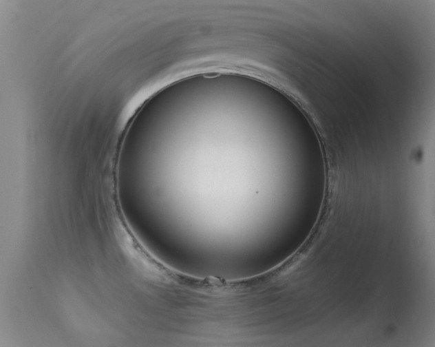 X0000113251530200909171614