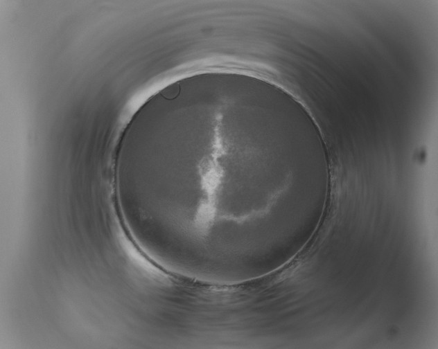 X0000113251531200909171614