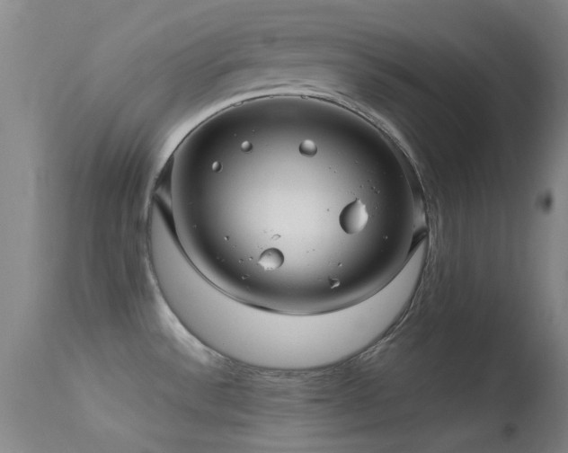 X0000113251532200909171614